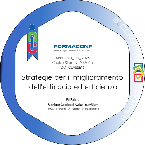 SEZ2_5.6_Strategie per il miglioramento dell'efficacia ed efficienza_DQ16